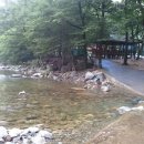계림정 - 달성군 용연사길 94 | 계림정