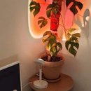 건대입구역-5 이미지