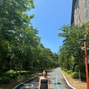 탑쉬레드 이미지