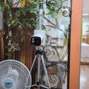 아이사랑유치원 이미지