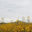 수유농원 이미지