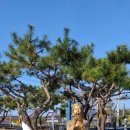 국립부여박물관 이미지