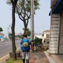 남양탕 네이버블로그