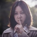 다이스필름(주) 데일리안