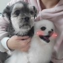 유니독스 이미지