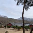 지축동 흥국사길 이미지