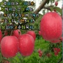 ♥ 관계의 소중함이란 ♥ 이미지