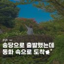 동화마을생태공원 배드민턴장 | 제주 송당 동화마을 유럽수국 지브리 소품샵 입장료 주차장