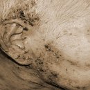 서울진마취통증의학과의원 이미지