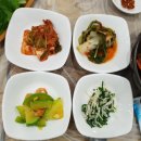 진도식당 - 광명시 | 진도식당