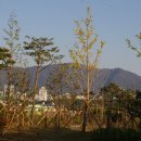 창원대로-2 이미지