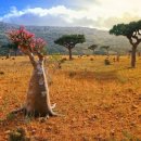 환상의섬 이미지