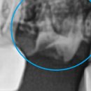 서울상아치과의원 이미지