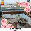 카앤피플경기안산단원구