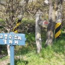 소리갤러리 이미지