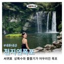 제주 천지연폭포 입장료부터 주차정보, 포토스팟까지