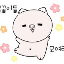 피자바네 이미지