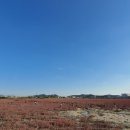 공원슈퍼 이미지