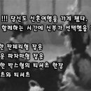 스킨쉽 이미지