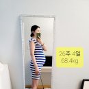 윤연당(진주제빵소) | [임신26주차]26주4일차 증상/배크기/몸무게
