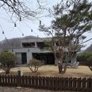 남이섬설리조트4
