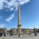 대광청소년수련의집 | 4일차 | 오랑주리 미술관 수련, 노트르담 대성당 예약, 콩시에르주리 예약 없이 방문 후기, 에펠탑...