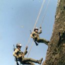 참배나무골 이미지