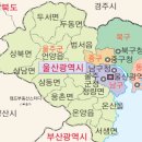 현대자동차서부산서비스 | [column] 울산광역시 물류시장