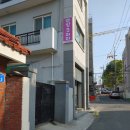핑크퍼피 | 대전애견미용 핑크퍼피에서 여름맞이로 깔끔하게 미용하기!!