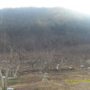 (주)백장생