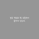 소확행 - 태안군 몽산포길 183 | 소확행
