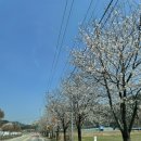 탑캠핑장글램핑 이미지