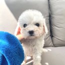 균영농장 이미지