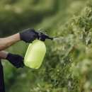 일산동물의료원 이미지