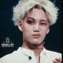 금가 Daum카페
