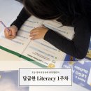 초등 비주얼리터러시 영어 | 달곰한 Literacy Reading 1 / 초등영어 리딩 독해 문제집 학습후기