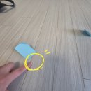 이사 전 마루수리, 교체 없이 해결한 실제 현장 후기