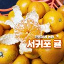 봉이네농장 이미지