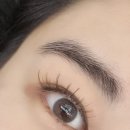 비비래쉬 이미지