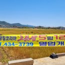 대박황칠코리아 이미지