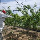 해진농장(2) 이미지