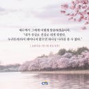 [CTS 말씀이미지] 요한복음 3장 3절 #말씀이미지 #감경철 #CTS #핸드폰배경화면 이미지