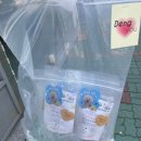 댕유 | 양산 물금 강아지 수제간식 댕유
