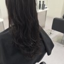 구평동물병원 | 구미, 구평동미용실 &lt;드루밍헤어&gt; 클리닉 후기