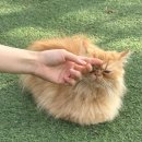 대부도식당 이미지
