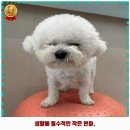 장림탕 이미지