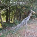 화흥초등학교 이미지