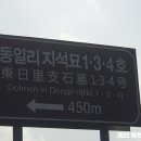 동일리 지석묘 4호 이미지