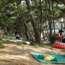 대천해수욕장 국민여가캠핑장(1지구) 이미지