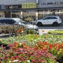 안흥종묘사 네이버블로그